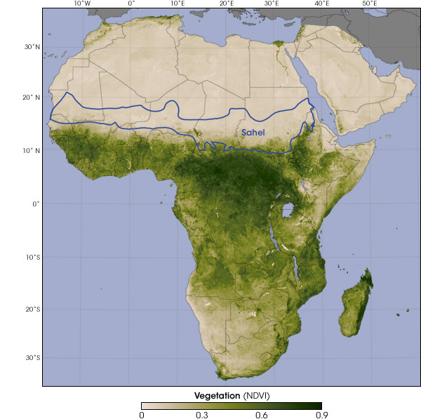 [Satellite measurements of vegetation. Map by Robert Simmon, based on GIMMS vegetation data and World Wildlife Fund ecoregions data.]