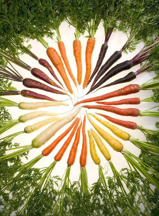 carrots_of_many_colors_530.jpg