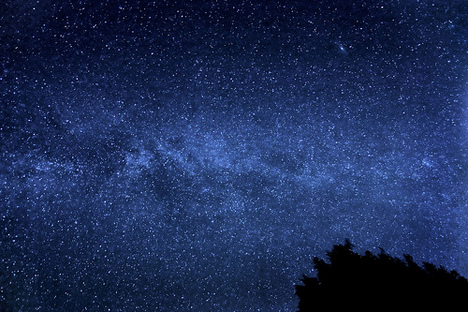 photo milky way night sky tree